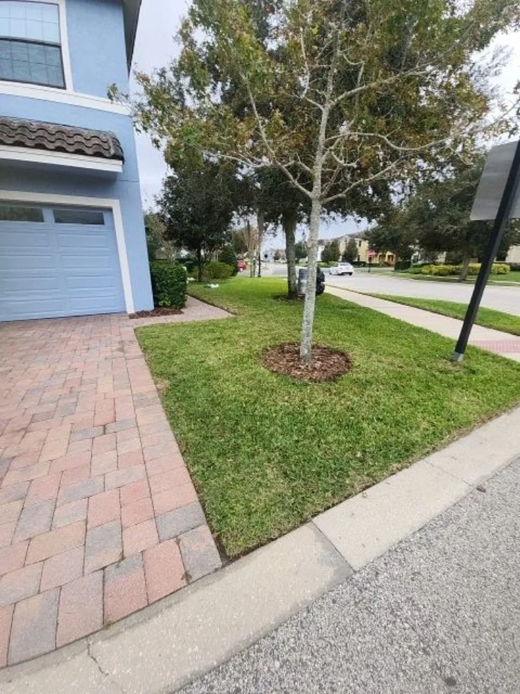 Trusted landscape installation experts serving Orlovista, FL - Picture Green Lawn Care