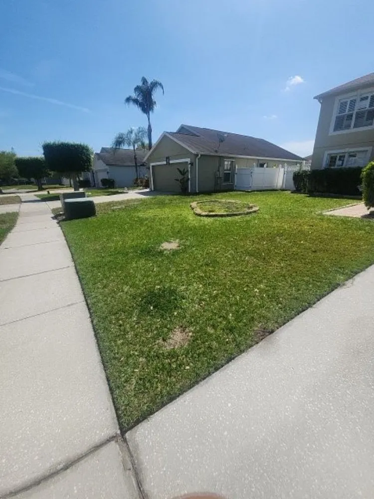 Reliable landscape installation in Orlovista, FL by Picture Green Lawn Care