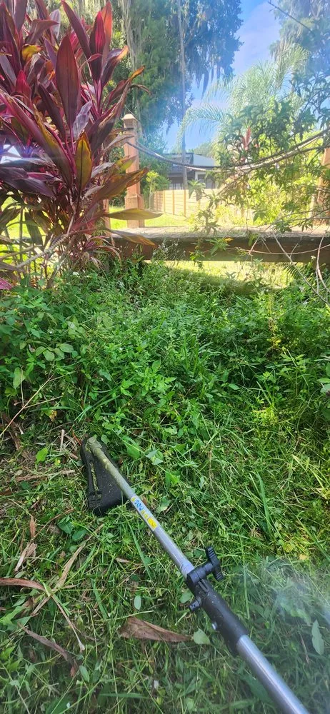 Custom residential landscaping near you across Orlovista, FL - Picture Green Lawn Care