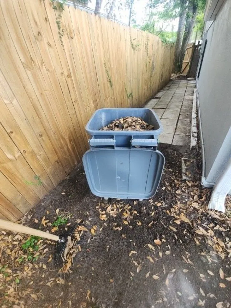 Professional yard cleanup service in Orlovista, FL by Picture Green Lawn Care