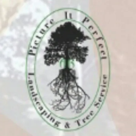 Professional yard cleanup service near you across Spotsylvania, VA - Picture It Perfect Landscape & Tree Service