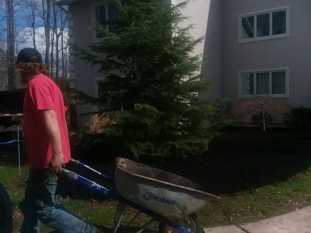 Affordable landscape installation in Spotsylvania, VA by Picture It Perfect Landscape & Tree Service