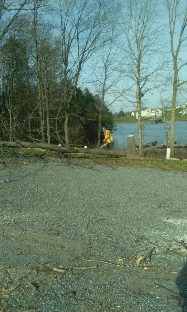 Professional landscape design in Spotsylvania, VA by Picture It Perfect Landscape & Tree Service