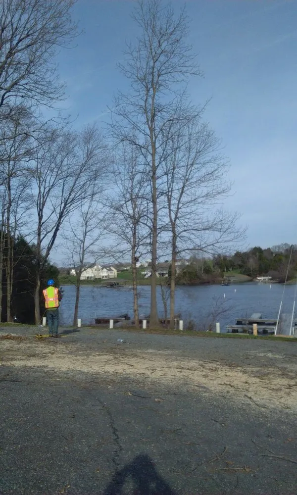 Trusted landscape design with custom design across Spotsylvania, VA - Picture It Perfect Landscape & Tree Service