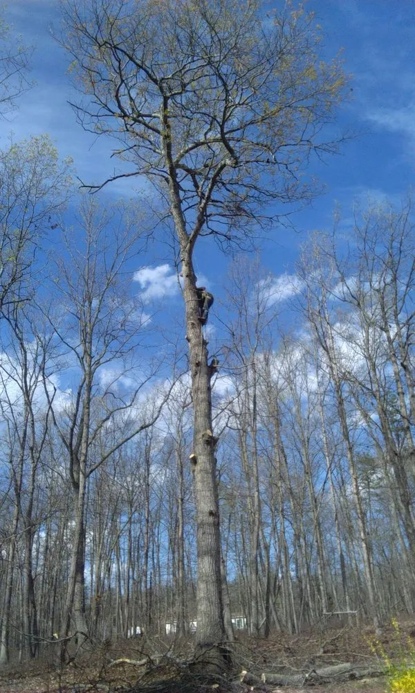 Reliable landscape design experts serving Spotsylvania, VA - Picture It Perfect Landscape & Tree Service