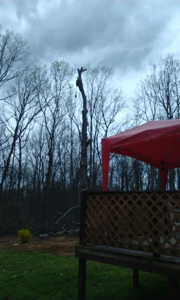 Top-rated yard maintenance in Spotsylvania, VA by Picture It Perfect Landscape & Tree Service