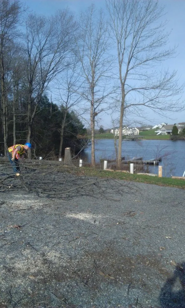 Trusted lawn mowing service for residential properties in Spotsylvania, VA by Picture It Perfect Landscape & Tree Service