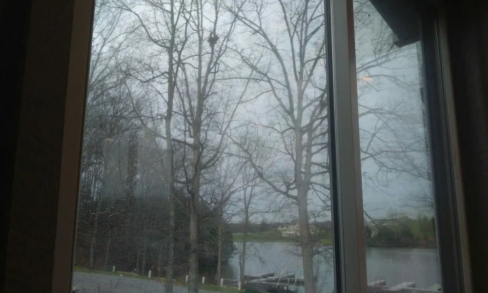 Professional landscaping services in Spotsylvania, VA by Picture It Perfect Landscape & Tree Service