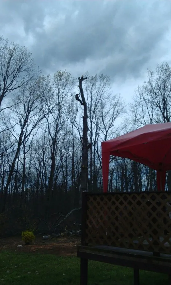 Local lawn care service in Spotsylvania, VA - Picture It Perfect Landscape & Tree Service