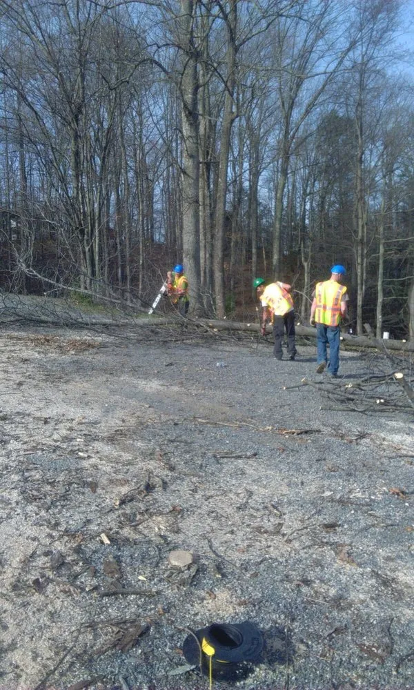 Local landscape installation experts serving Spotsylvania, VA - Picture It Perfect Landscape & Tree Service