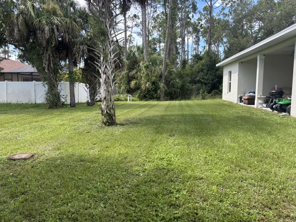 Custom landscaping services experts serving North Port, FL - Picture Perfect Landscapes