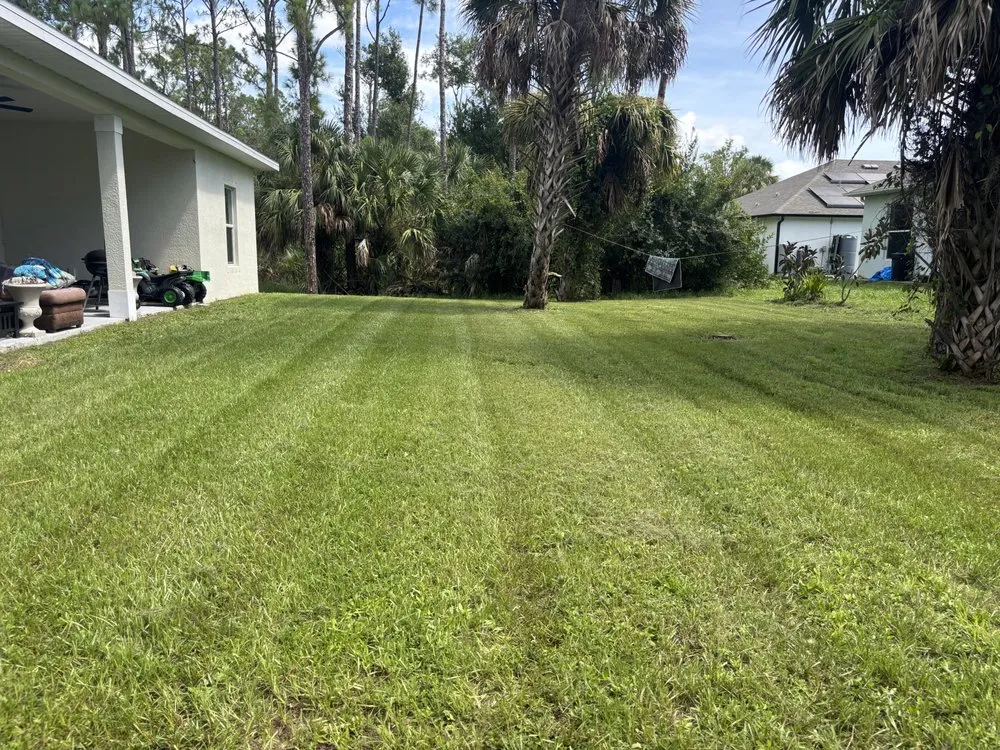 Expert yard maintenance for homes across North Port, FL - Picture Perfect Landscapes