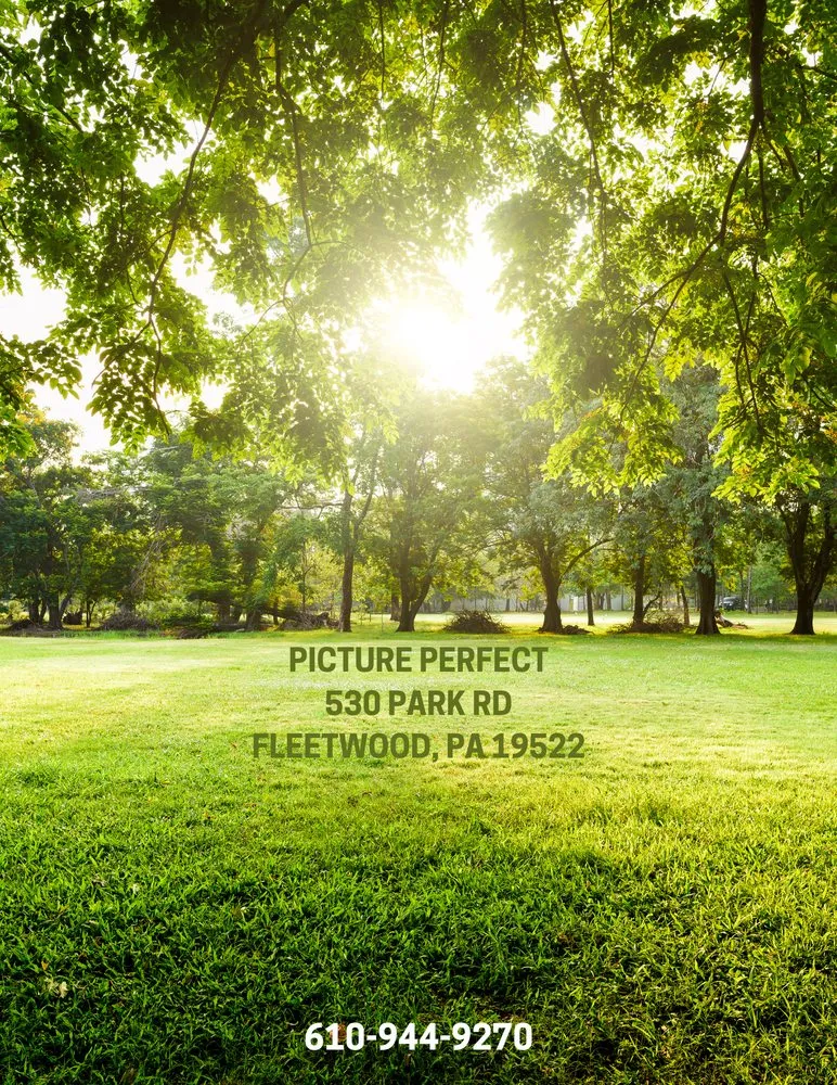 Reliable residential landscaping in Fleetwood, PA by Picture Perfect Landscaping and Mower Shop