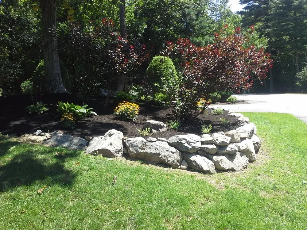 Expert yard cleanup service for residential properties in Collinsville, IL by Picture Perfect Landscaping