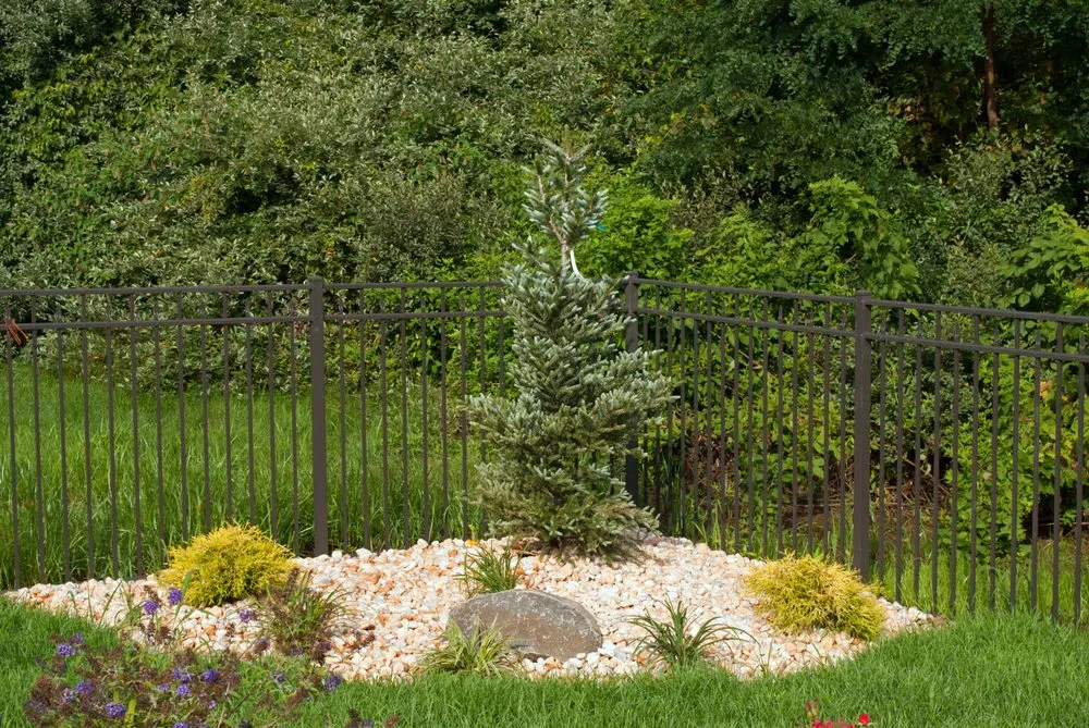 Top-rated lawn care service in Manalapan, NJ by Picture Perfect Landscaping