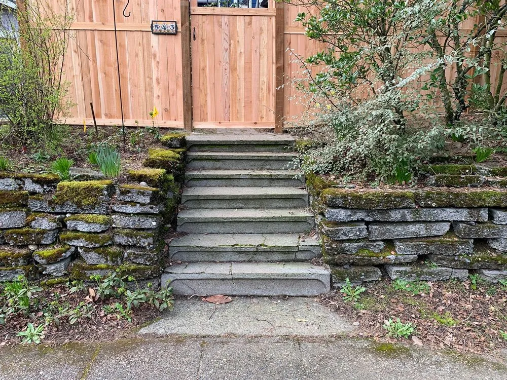 Expert lawn care service in Renton, WA by Picture Perfect Landscaping