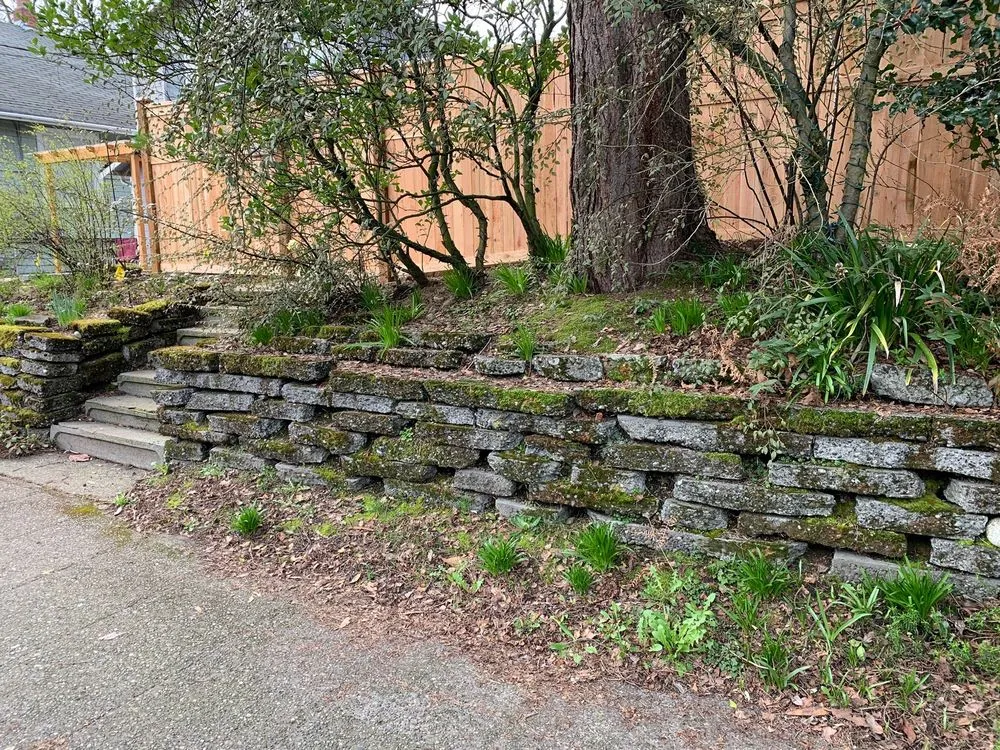 Professional lawn mowing service experts serving Renton, WA - Picture Perfect Landscaping