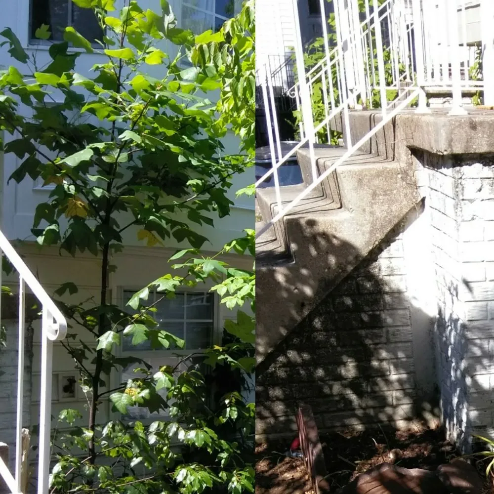 Expert landscape design near you in Upper Marlboro, MD by Picture Perfect Landscaping