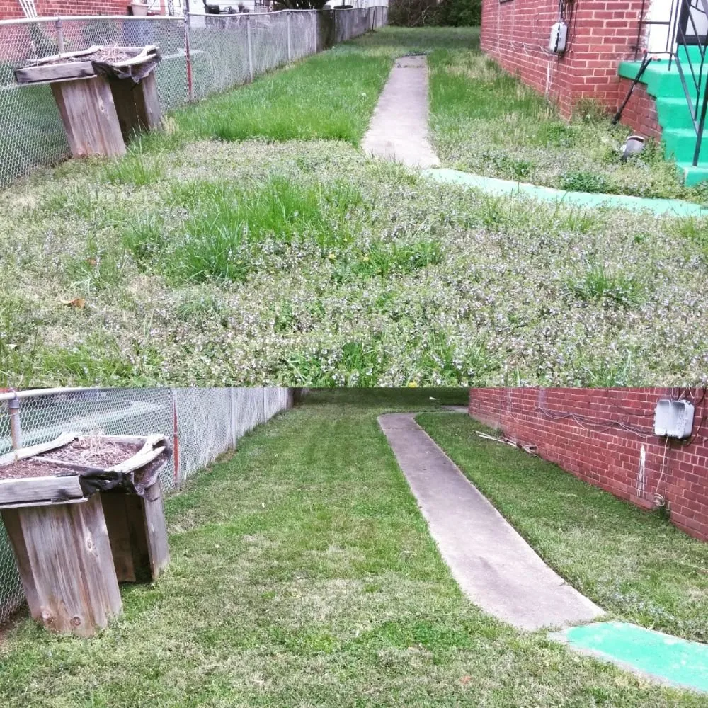 Local yard maintenance for residential properties across Upper Marlboro, MD - Picture Perfect Landscaping