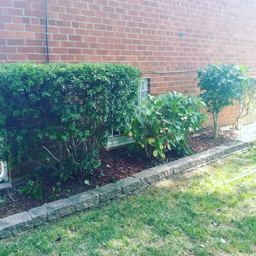 Top-rated yard cleanup service experts serving Upper Marlboro, MD - Picture Perfect Landscaping