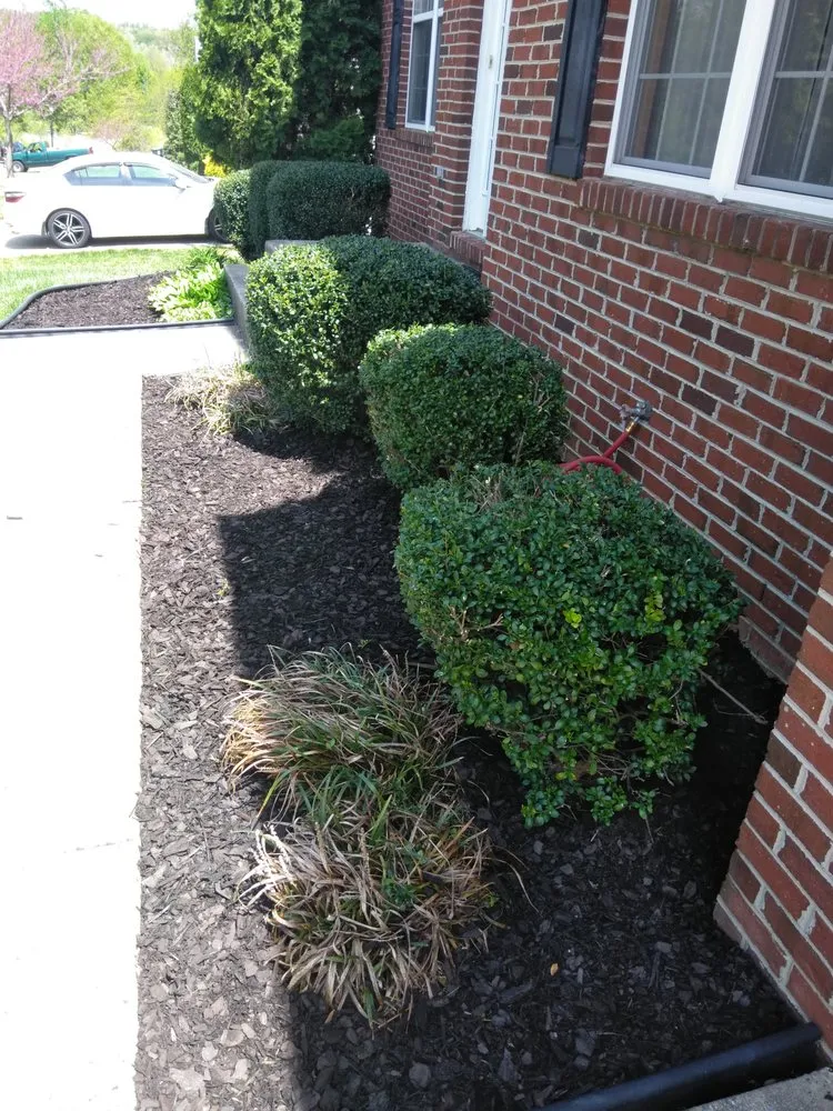 Professional residential landscaping with custom design across Upper Marlboro, MD - Picture Perfect Landscaping