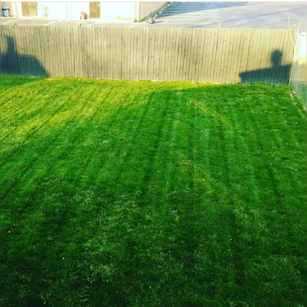 Professional landscape design in Upper Marlboro, MD - Picture Perfect Landscaping