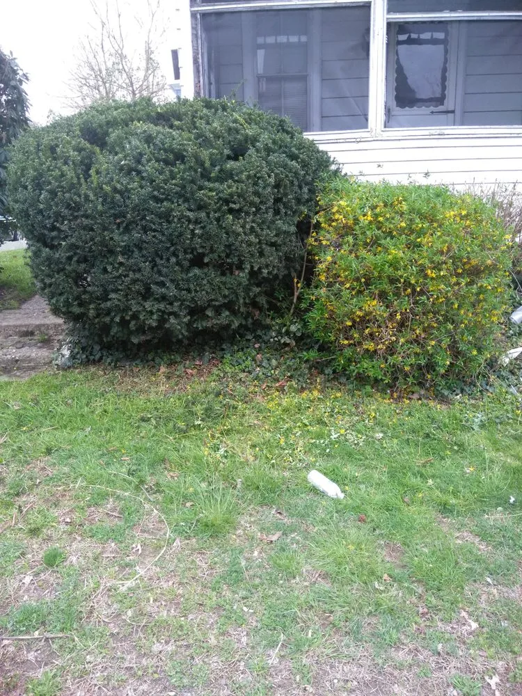 Reliable lawn mowing service near you in Upper Marlboro, MD by Picture Perfect Landscaping
