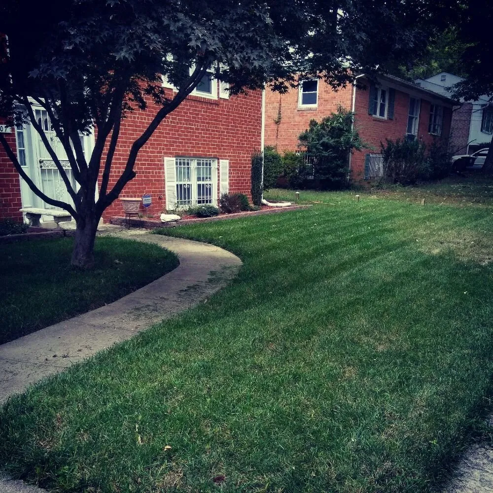 Affordable landscape installation in Upper Marlboro, MD by Picture Perfect Landscaping