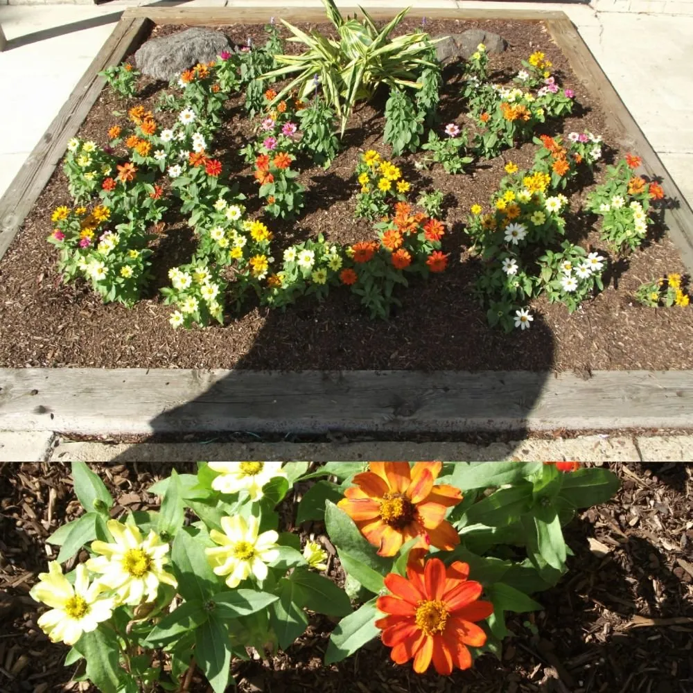 Local garden landscaping for beautiful yards across Upper Marlboro, MD - Picture Perfect Landscaping