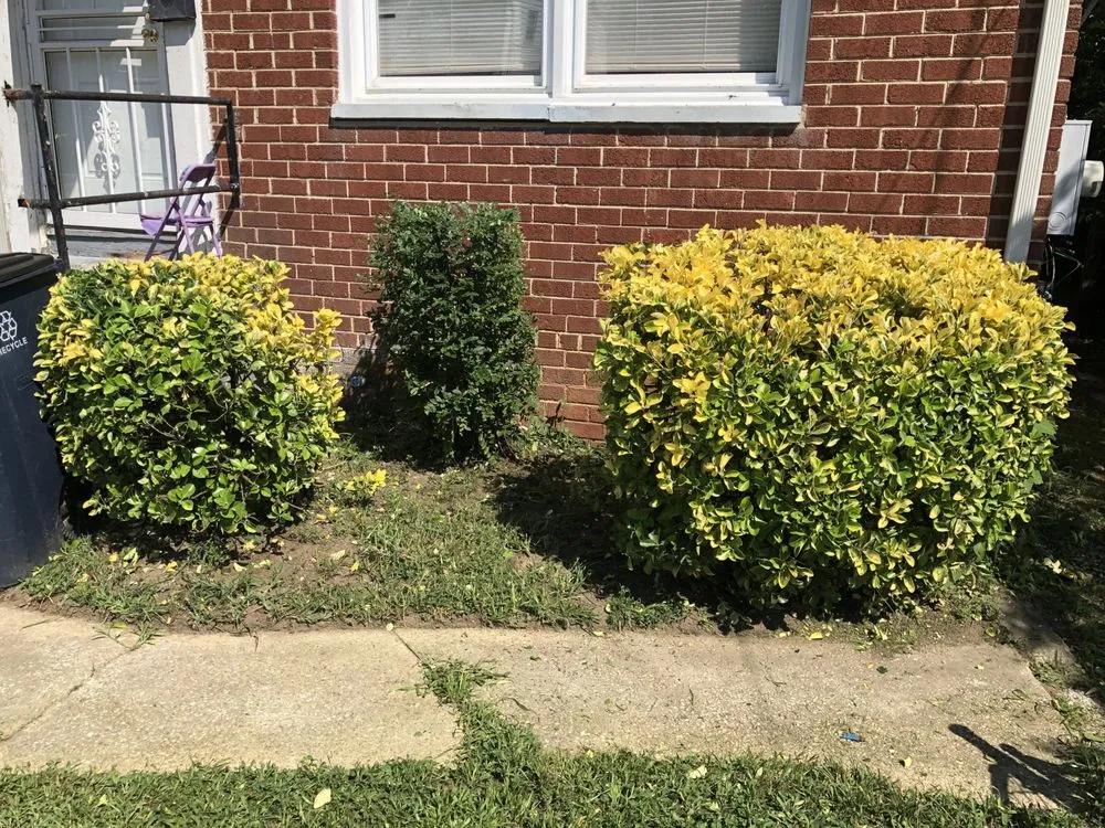 Top-rated landscape installation in Upper Marlboro, MD by Picture Perfect Landscaping