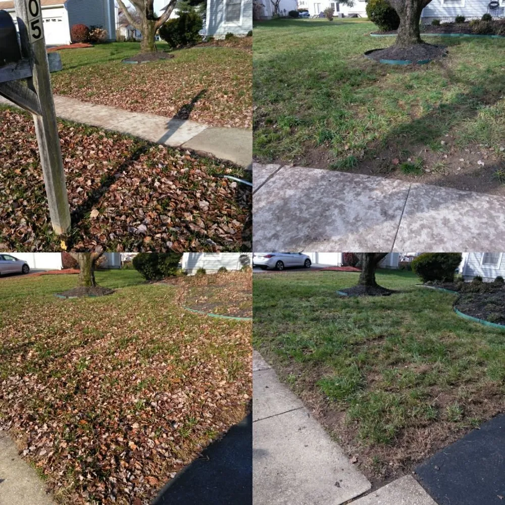 Custom yard cleanup service in Upper Marlboro, MD - Picture Perfect Landscaping