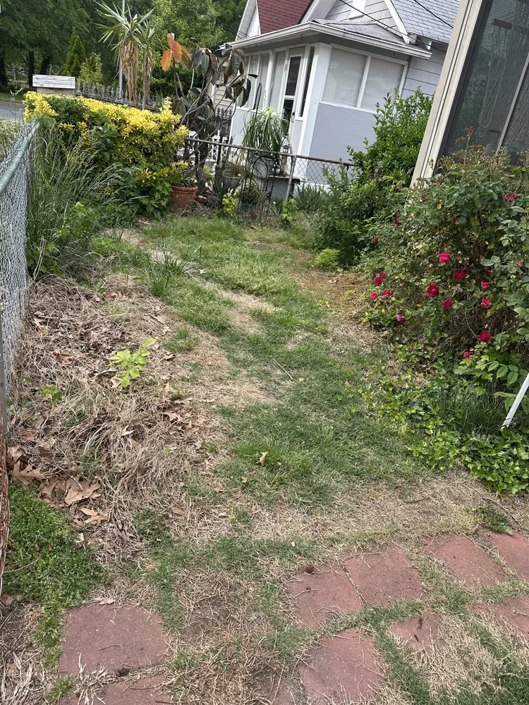 Expert lawn mowing service in Norfolk, VA - Picture Perfect Lawn & More