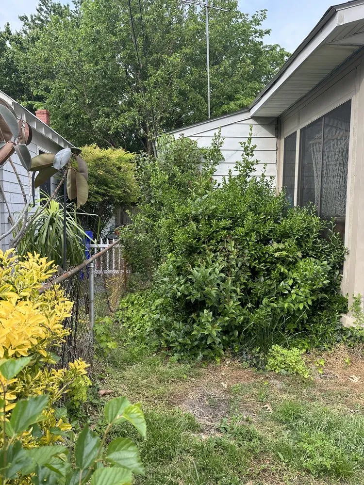 Top-rated garden landscaping in Norfolk, VA by Picture Perfect Lawn & More