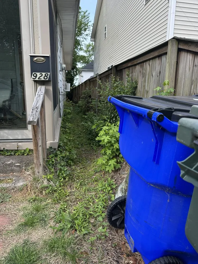 Expert yard cleanup service near you across Norfolk, VA - Picture Perfect Lawn & More