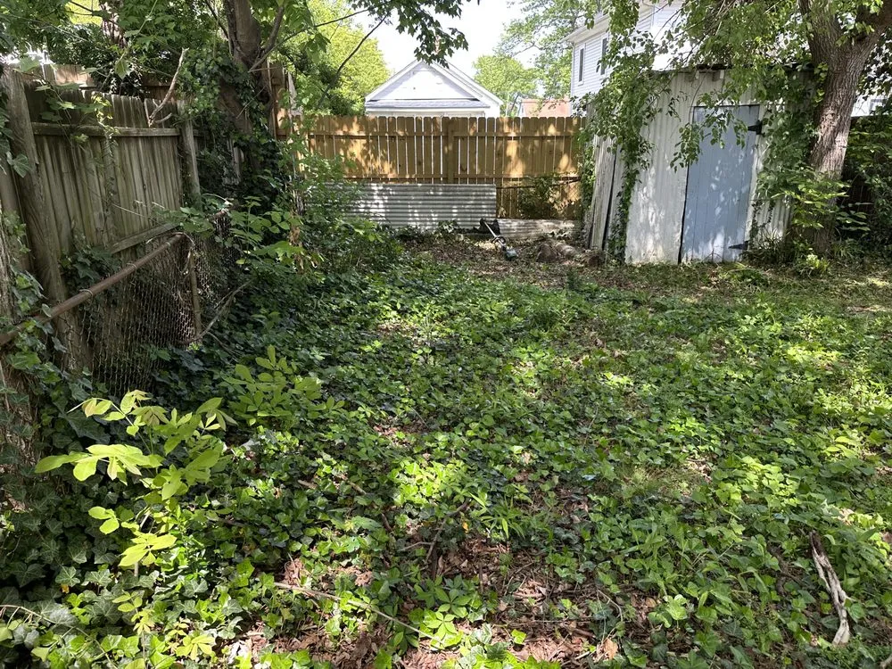 Expert yard maintenance in Norfolk, VA - Picture Perfect Lawn & More