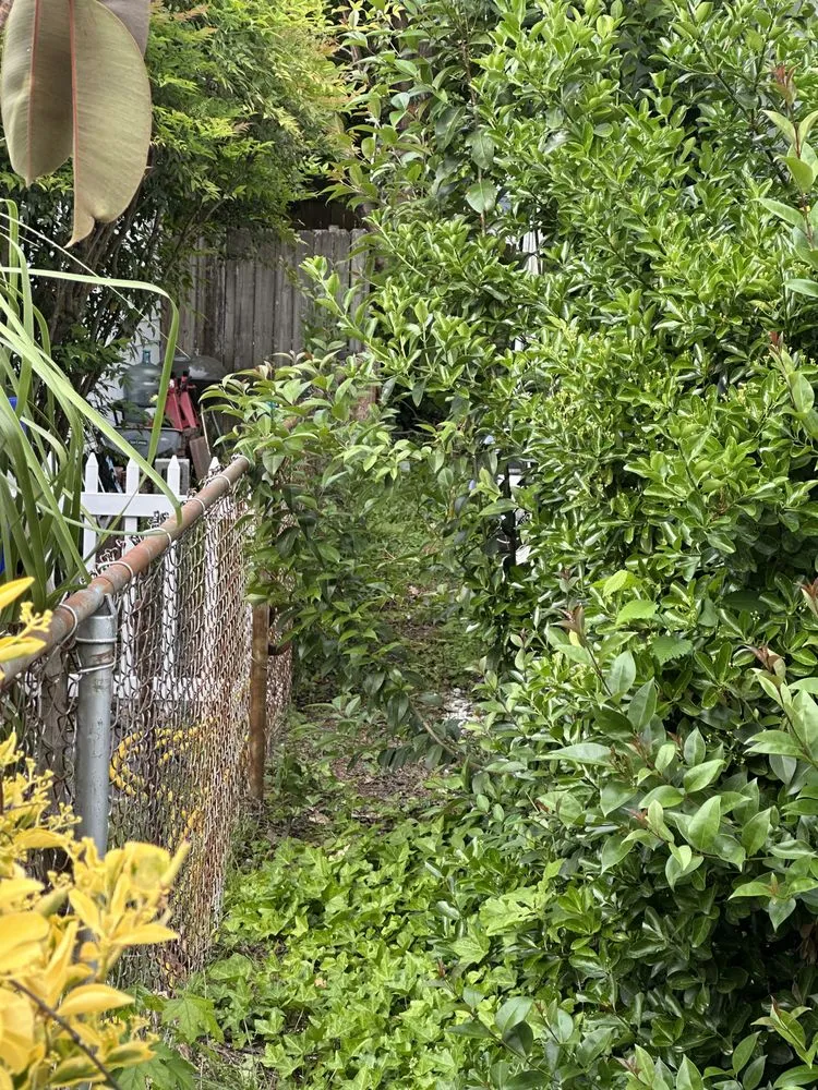 Custom landscape installation in Norfolk, VA - Picture Perfect Lawn & More