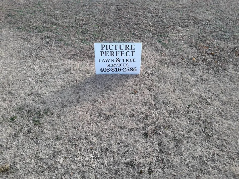 Affordable lawn mowing service in Choctaw, OK by Picture Perfect Lawn & Tree Services