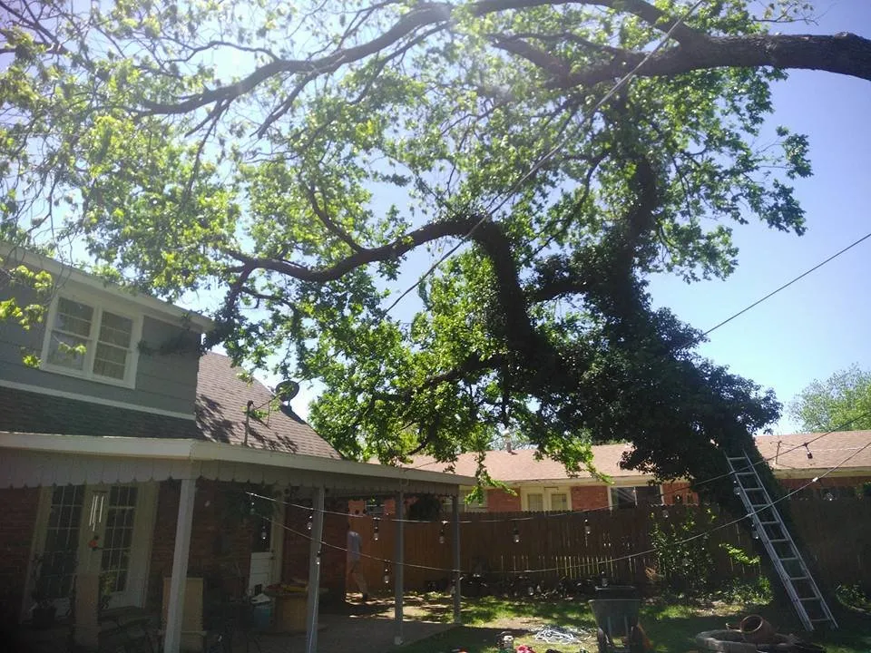 Custom landscape installation in Choctaw, OK by Picture Perfect Lawn & Tree Services