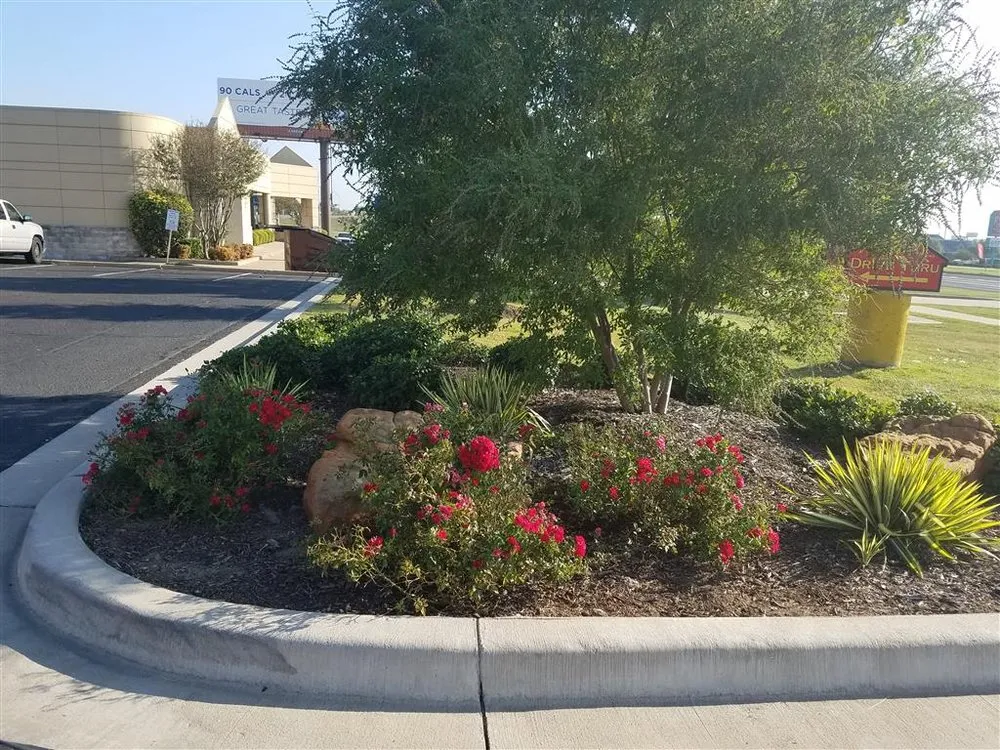 Trusted landscaping services for homes across Hewitt, TX - Picture Perfect Lawn and Landscape