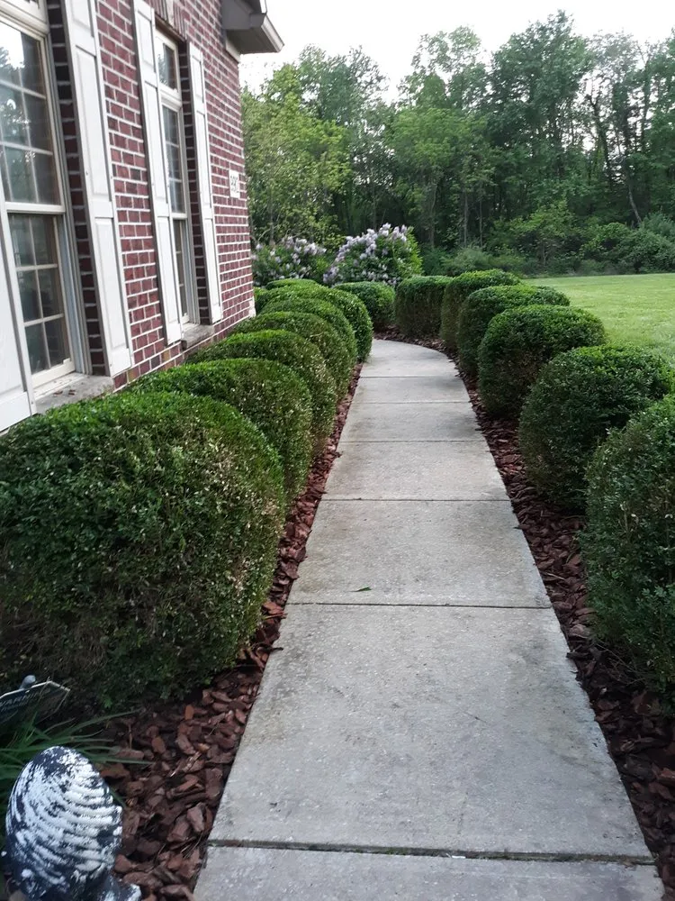 Expert yard cleanup service with custom design in Fishers, IN by Picture Perfect Lawn and Landscaping