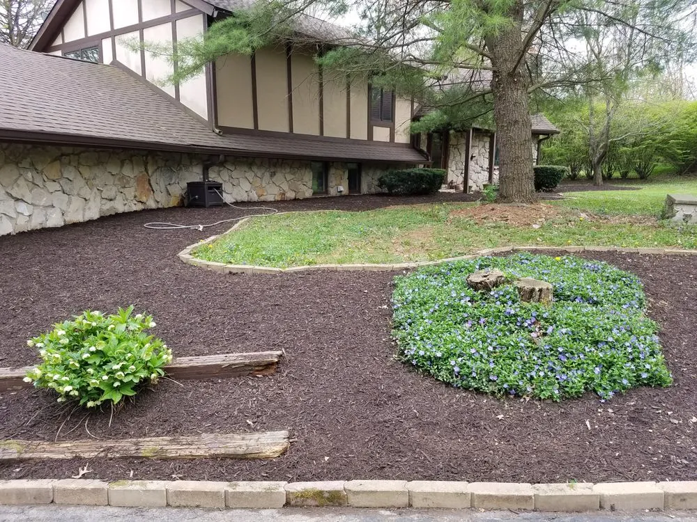 Expert lawn mowing service for beautiful yards across Fishers, IN - Picture Perfect Lawn and Landscaping