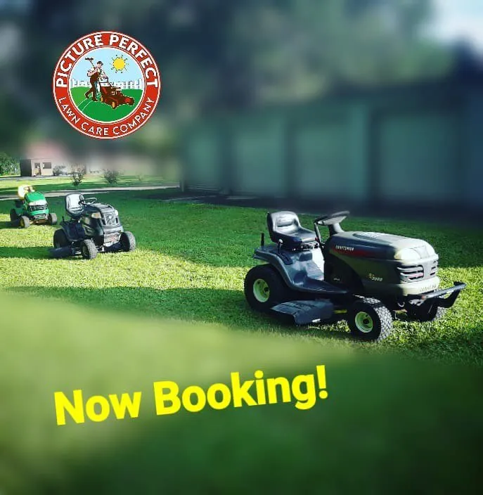 Professional landscaping services experts serving Palm Coast, FL - Picture Perfect Lawn Care