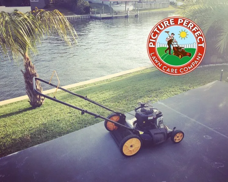 Professional lawn care service with custom design across Palm Coast, FL - Picture Perfect Lawn Care