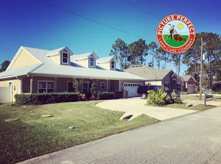 Professional yard cleanup service for beautiful yards across Palm Coast, FL - Picture Perfect Lawn Care