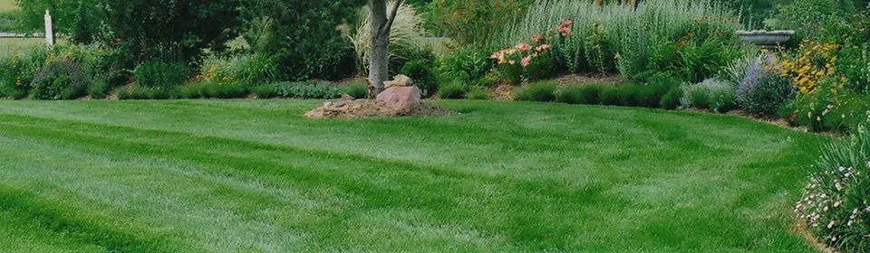 Expert residential landscaping experts serving Smithville, MO - Picture Perfect Lawn Care Service