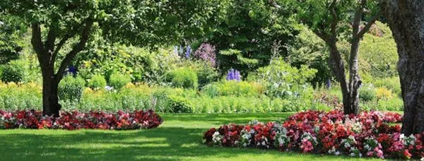 Picture Perfect Lawn Care Service