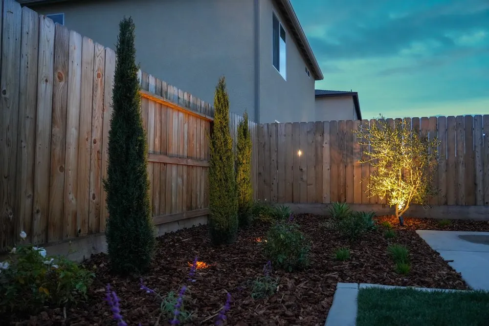 Local residential landscaping in Fresno, CA by Picture Perfect Lawn