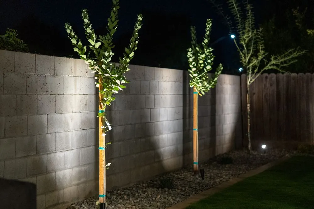 Expert yard maintenance for outdoor upgrades in Fresno, CA by Picture Perfect Lawn