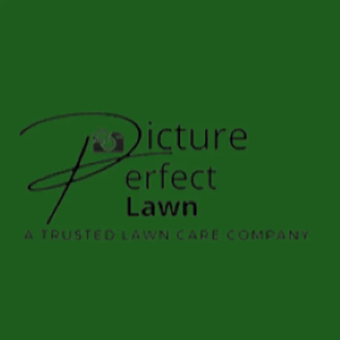 Professional residential landscaping in Lufkin, TX by Picture Perfect Lawn