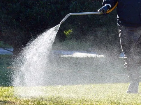 Professional yard maintenance in Davenport, IA by Picture Perfect Lawn Maintenance and Snow Removal